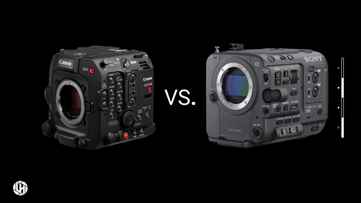 canon and sony color science