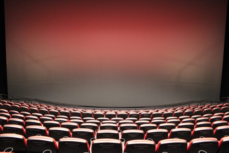 How To Train Your Dragon in IMAX